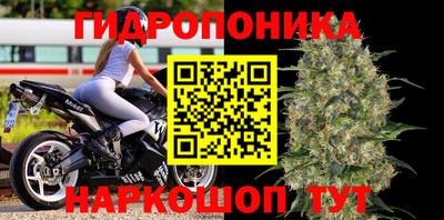 соль курить ск Аргун