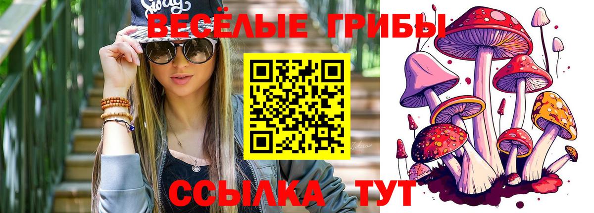 Галлюциногенные грибы Psilocybe Балахна