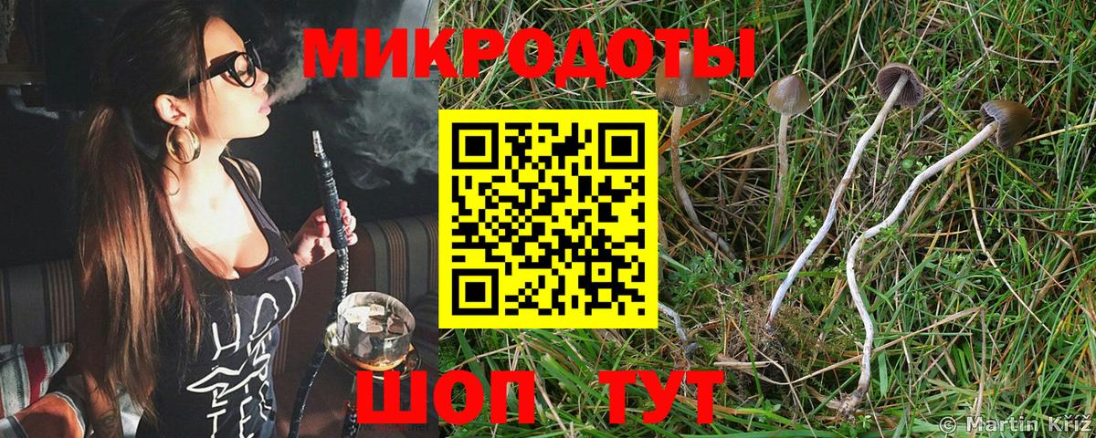 Псилоцибиновые грибы MAGIC MUSHROOMS  Вход с VPN  Балахна 